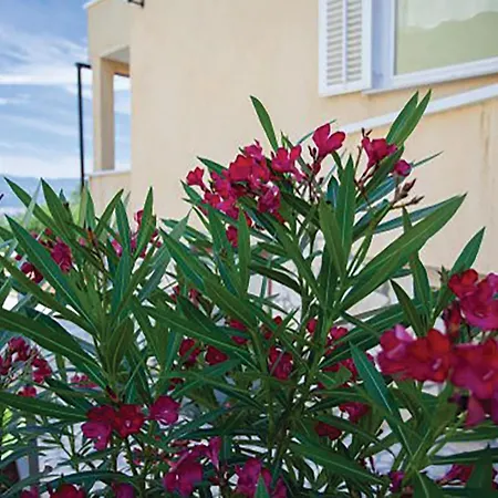 Amazing Apartment In Malinska With House Sea View Daire Malinska