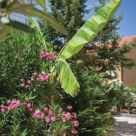 Daire Amazing Apartment In Malinska With House Sea View