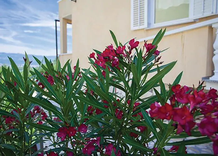 In Apartman Malinska
